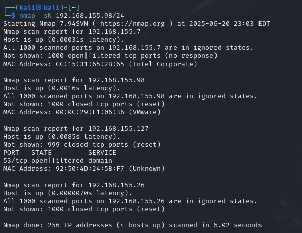 Nmap Attack Screenshot